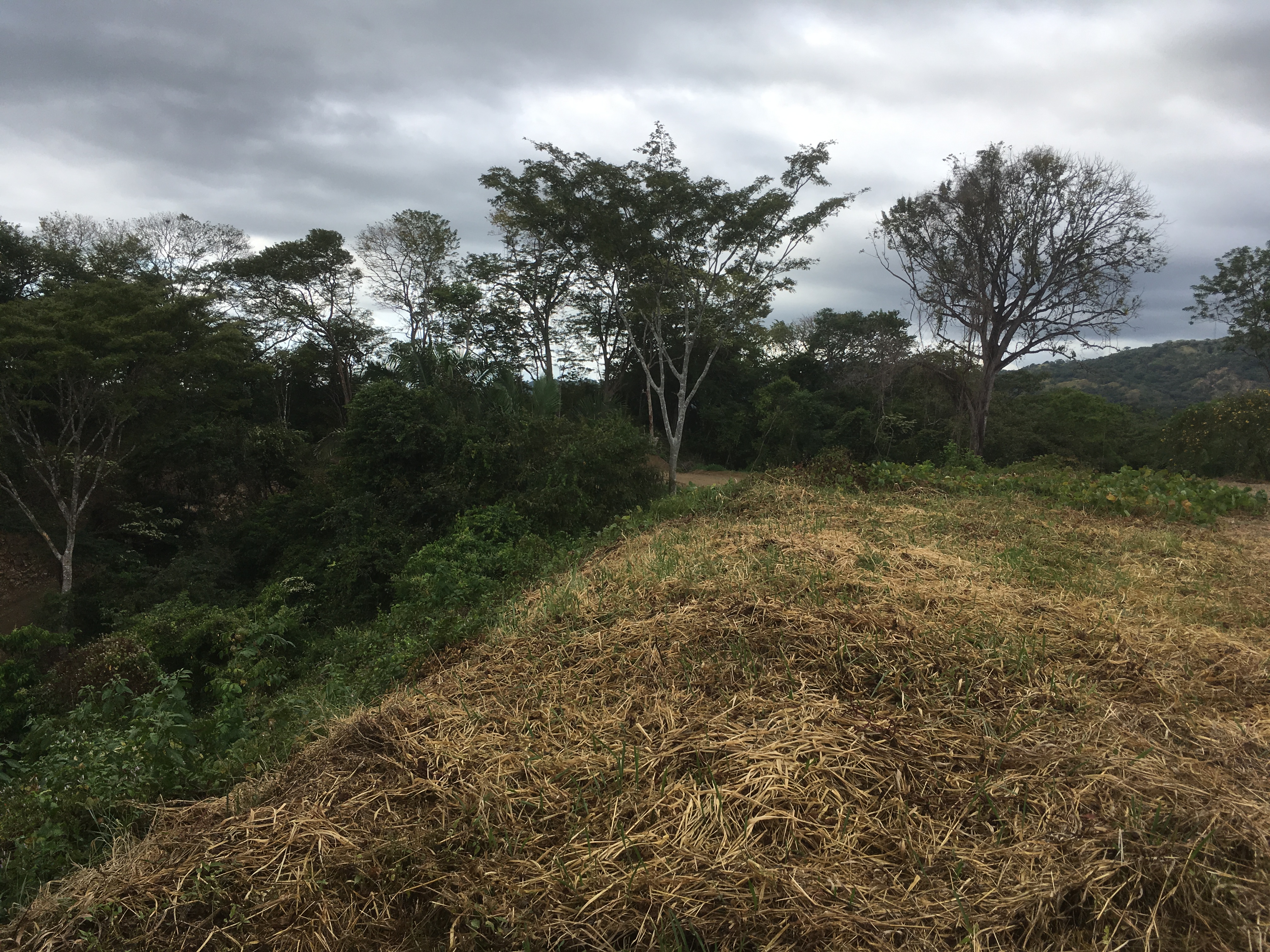 0 bed Land For Sale in Samara, Guanacaste - thumb 6