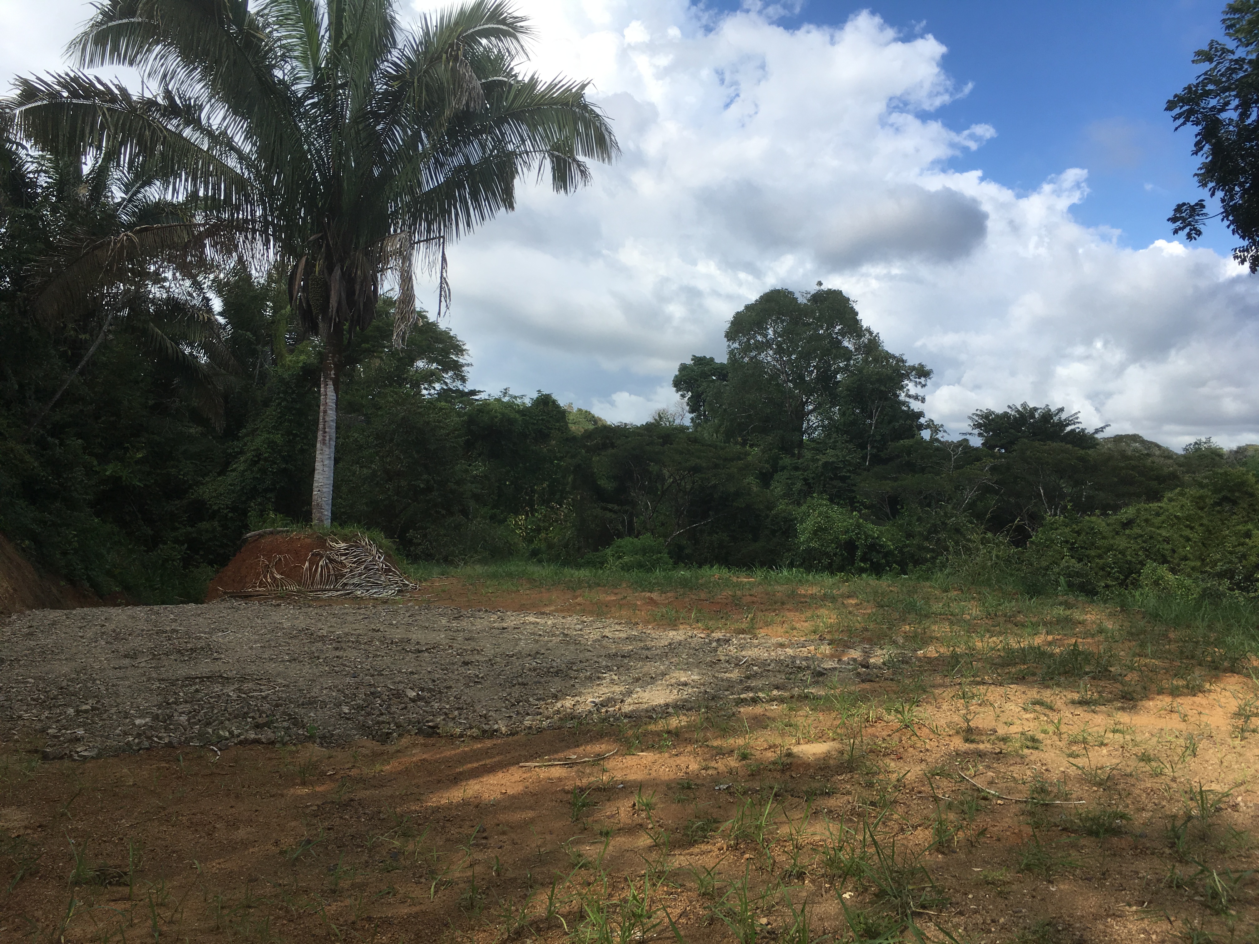 0 bed Land For Sale in Samara, Guanacaste - thumb 4