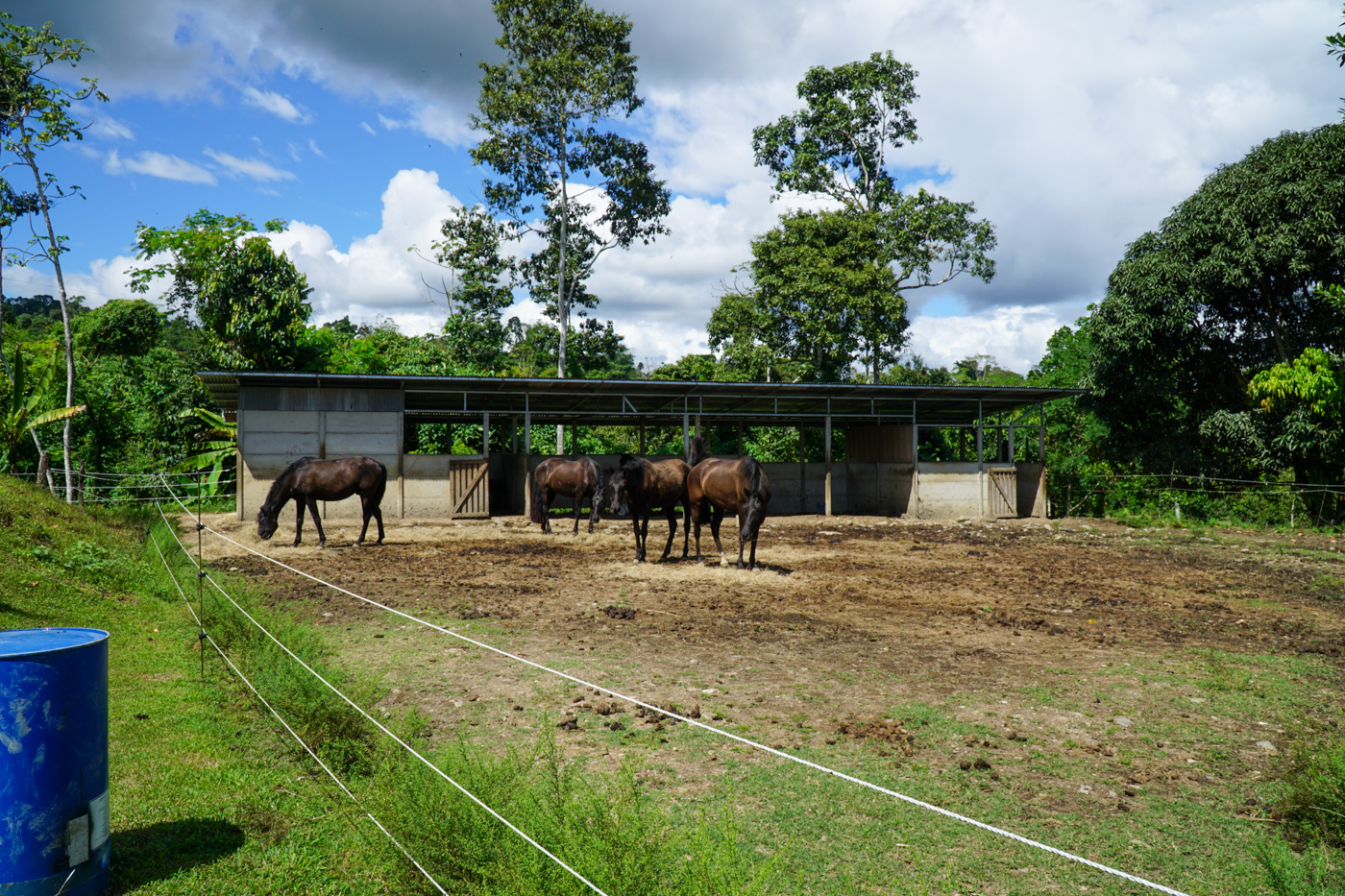 2 bed Single Family Homes For Sale in Perez Zeledon, San Jose - thumb 9