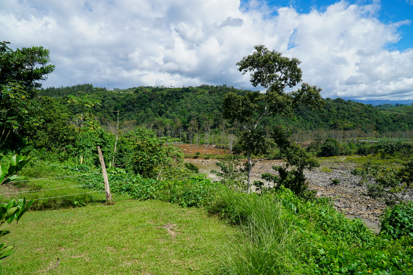 2 bed Single Family Homes For Sale in Perez Zeledon, San Jose - thumb 29