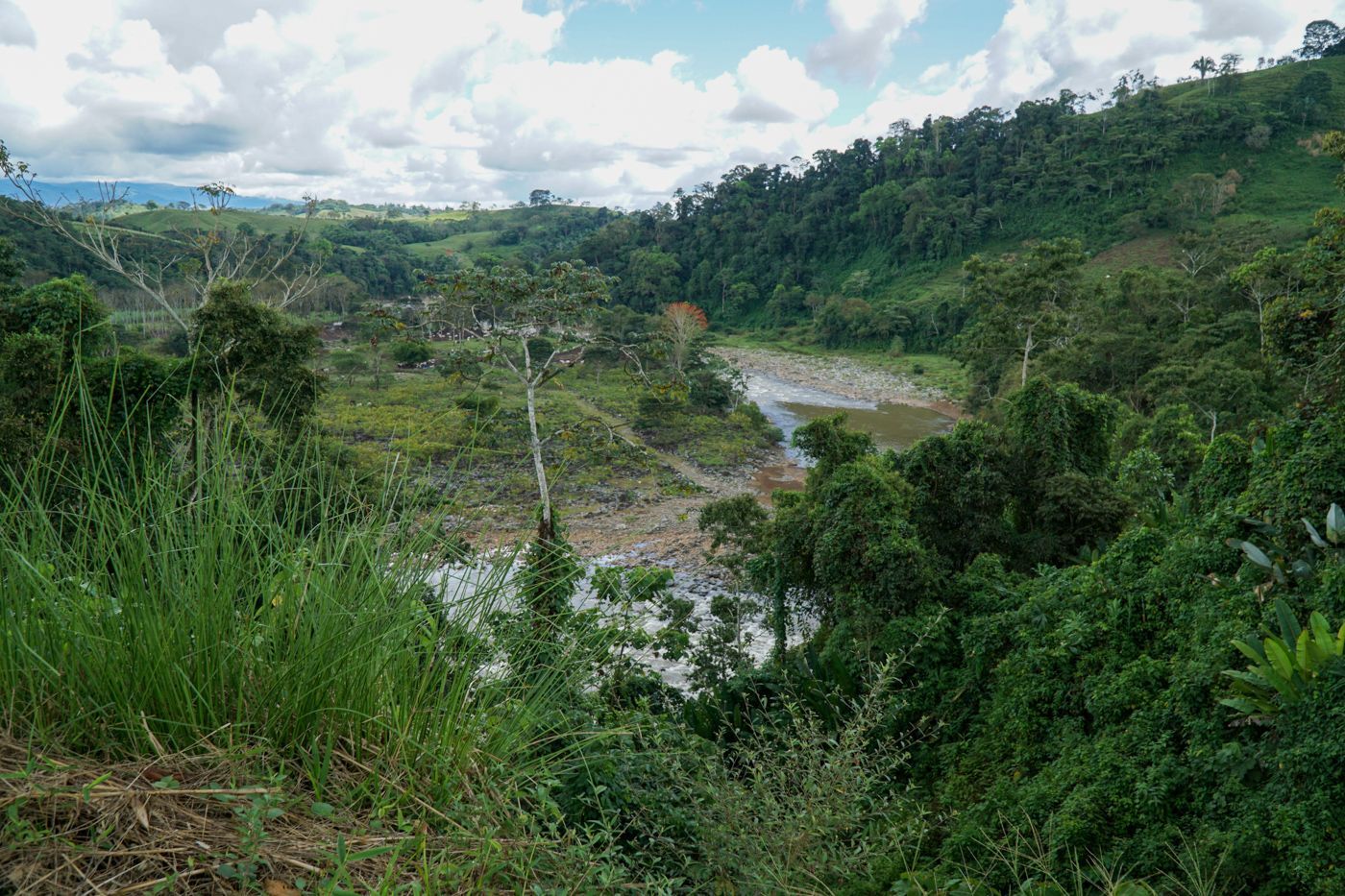 2 bed Single Family Homes For Sale in Perez Zeledon, San Jose - thumb 4