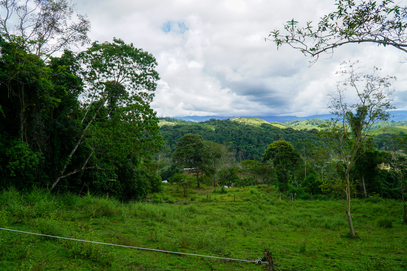 2 bed Single Family Homes For Sale in Perez Zeledon, San Jose - thumb 16