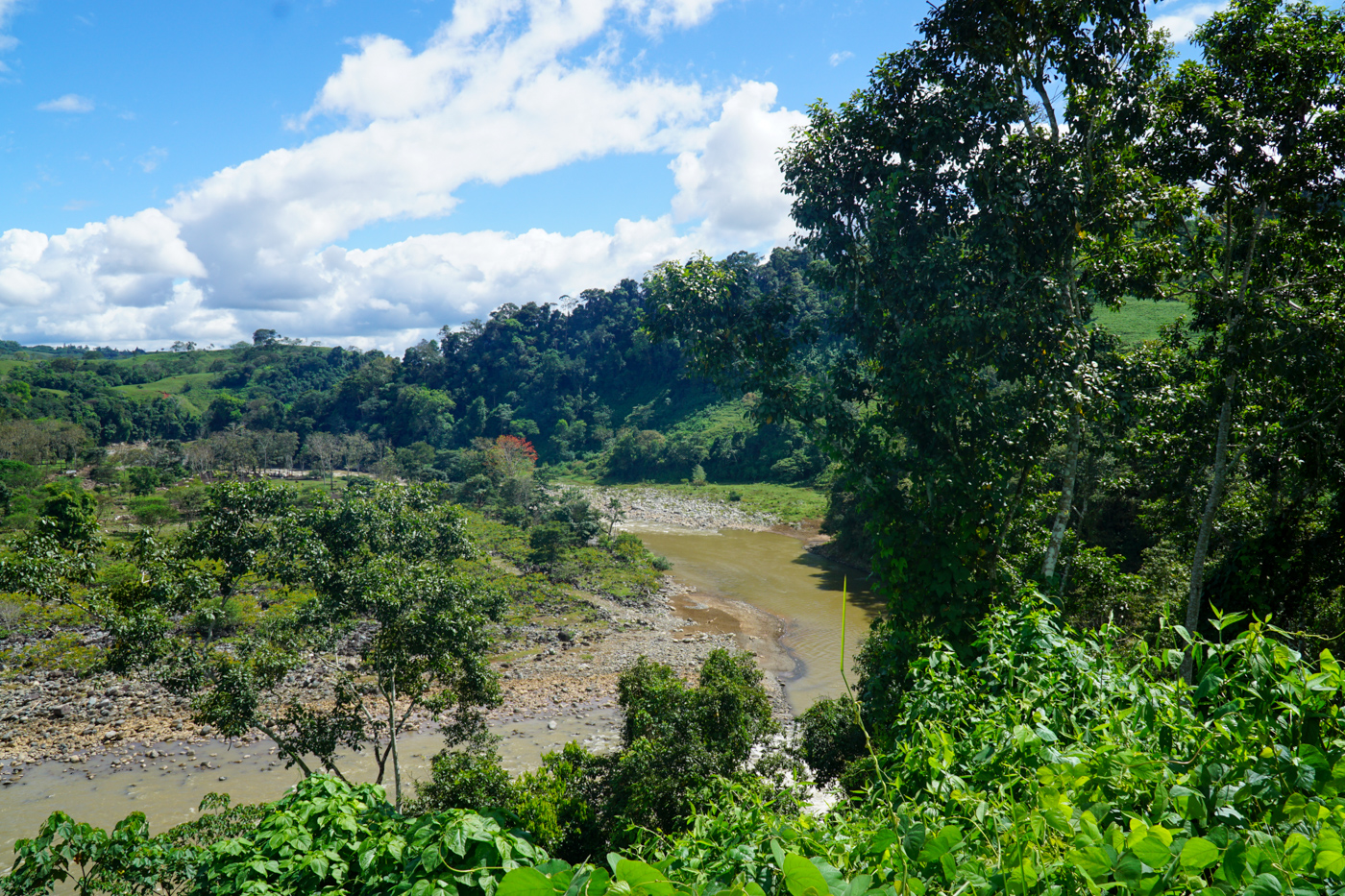 2 bed Single Family Homes For Sale in Perez Zeledon, San Jose - thumb 6