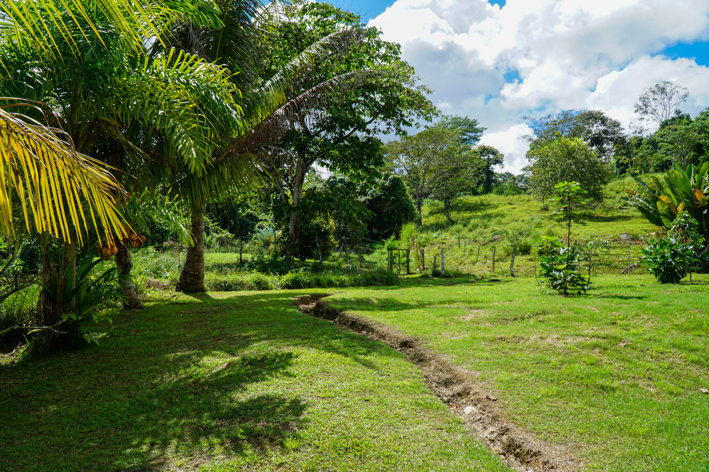 2 bed Single Family Homes For Sale in Perez Zeledon, San Jose - thumb 11