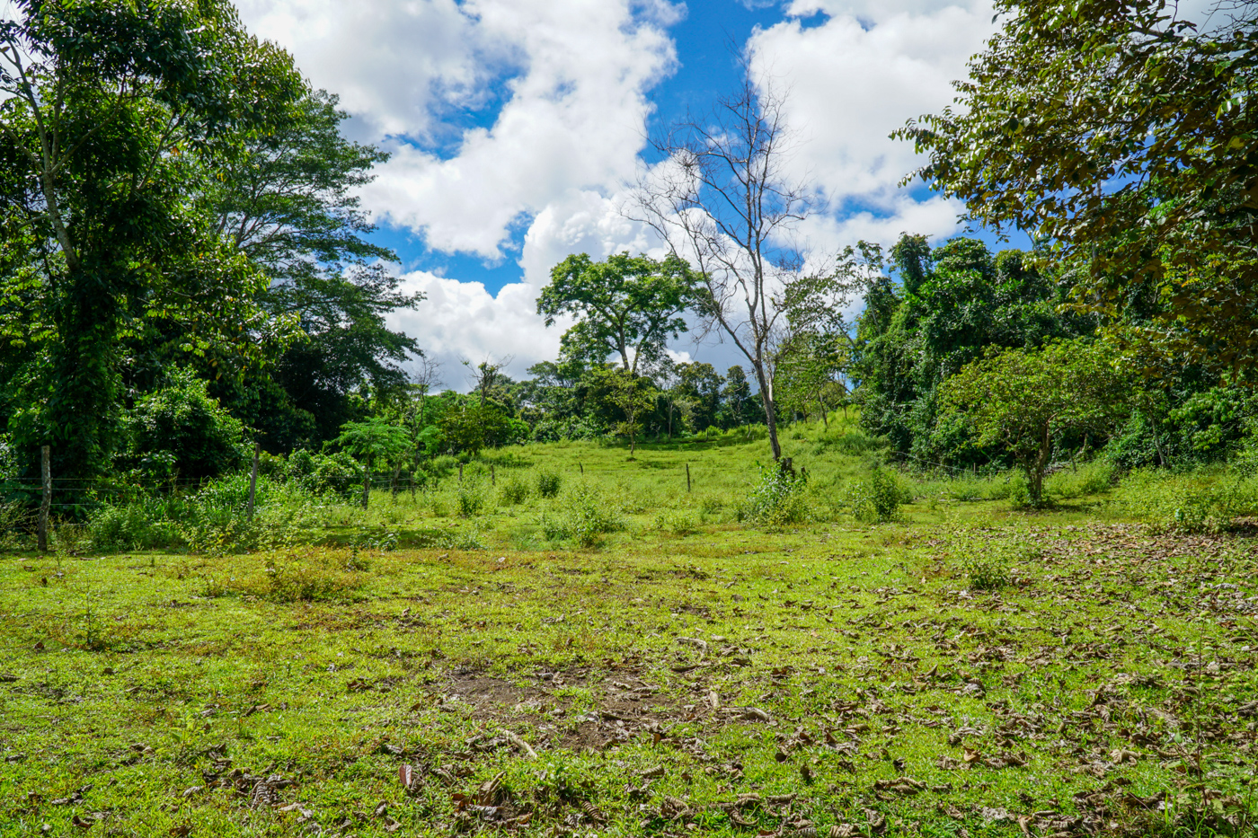 2 bed Single Family Homes For Sale in Perez Zeledon, San Jose - thumb 14