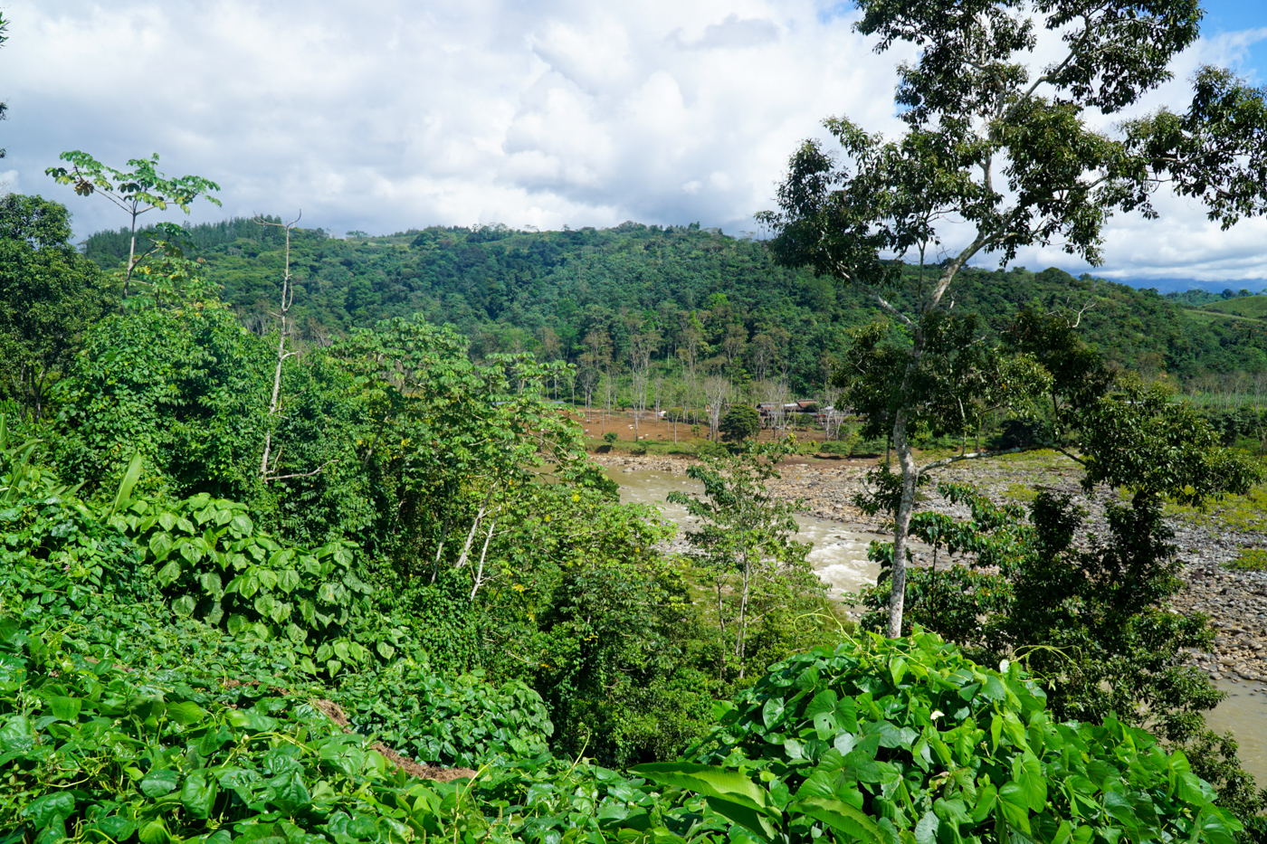 2 bed Single Family Homes For Sale in Perez Zeledon, San Jose - thumb 7