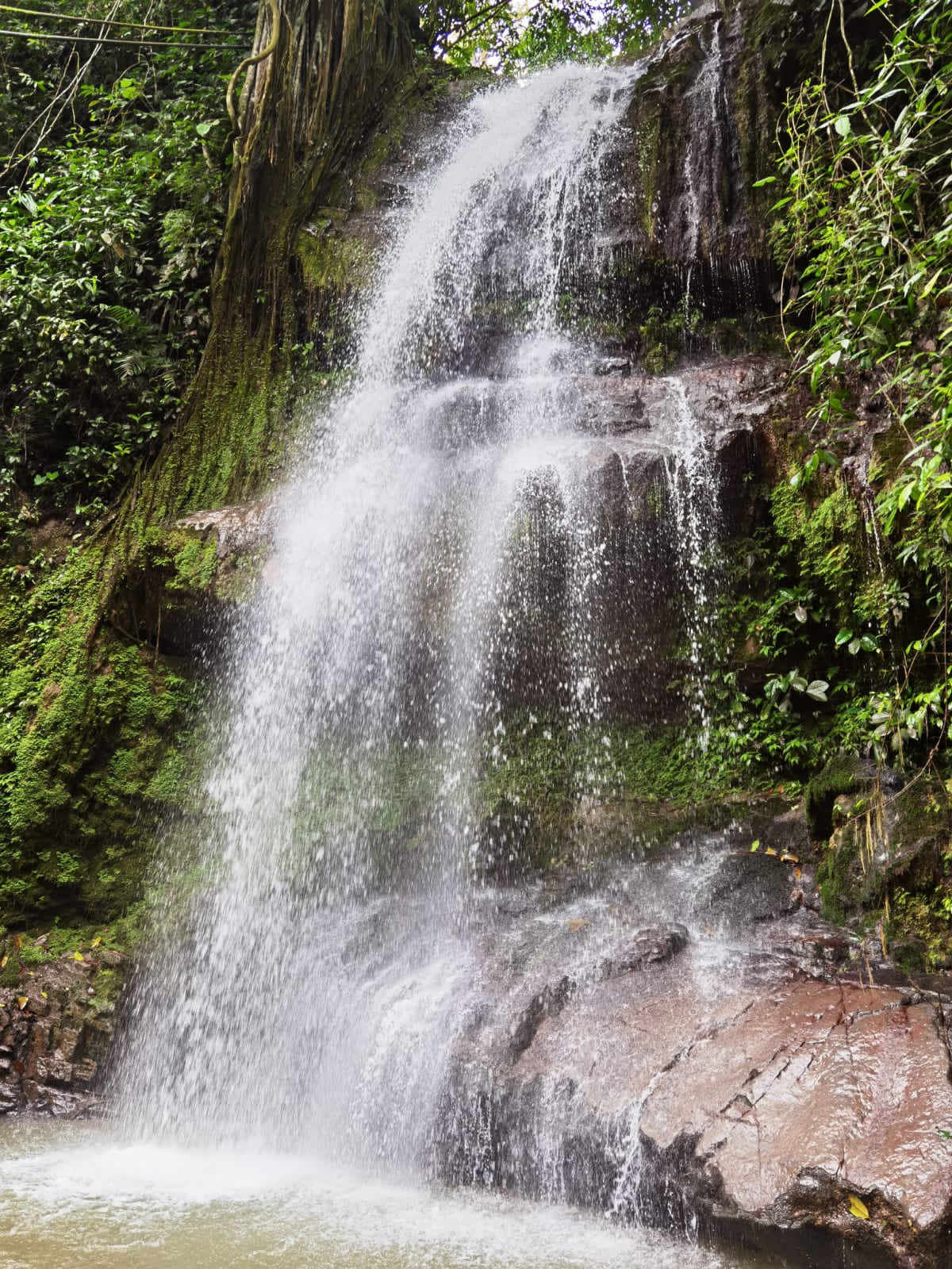 2 bed Single Family Homes For Sale in Perez Zeledon, San Jose - thumb 19