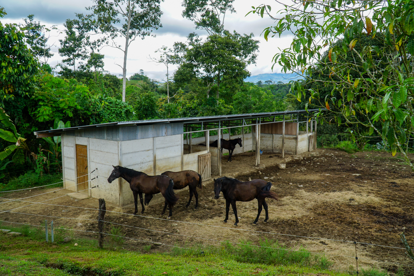 2 bed Single Family Homes For Sale in Perez Zeledon, San Jose - thumb 17