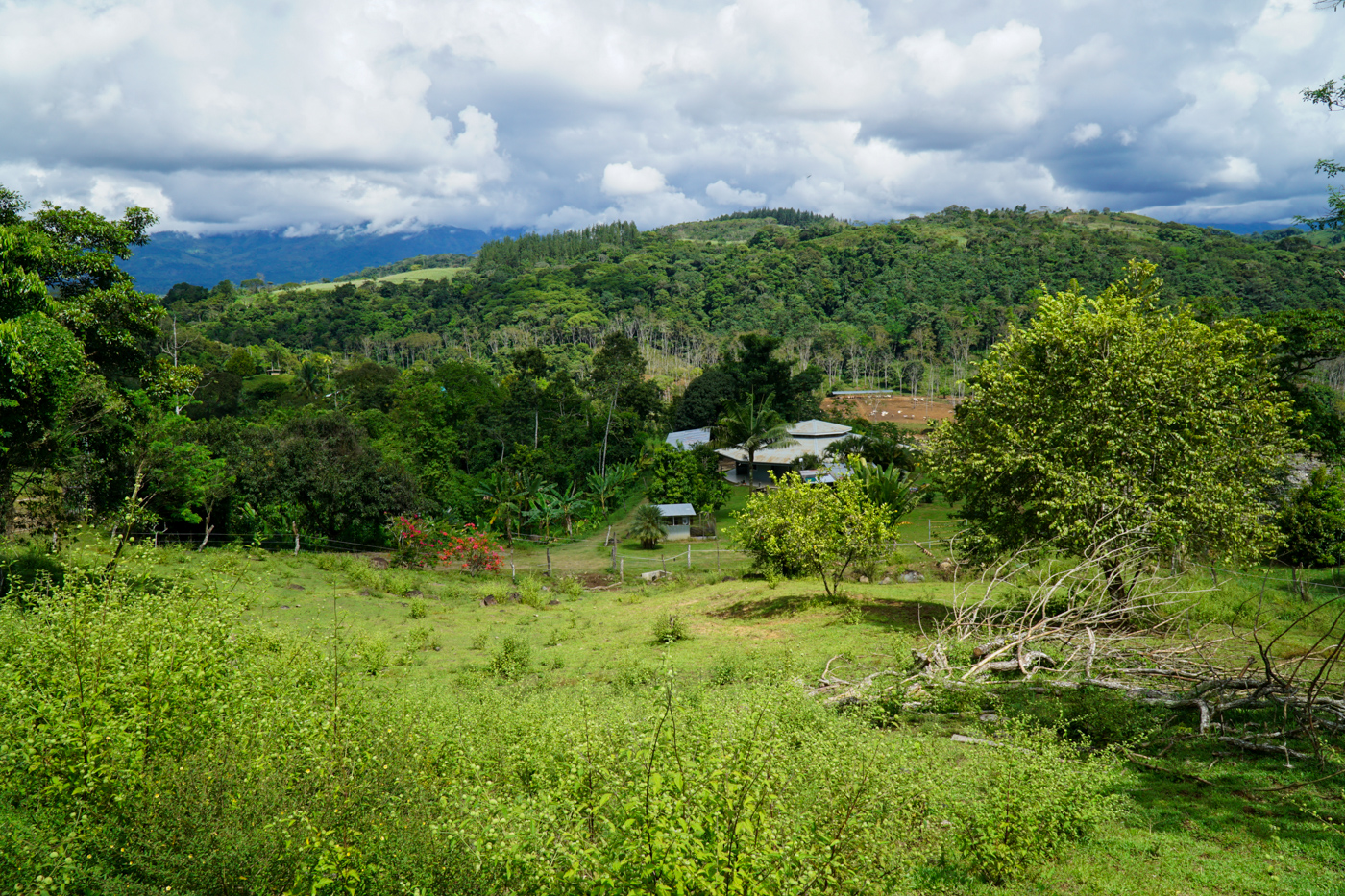 2 bed Single Family Homes For Sale in Perez Zeledon, San Jose - thumb 13