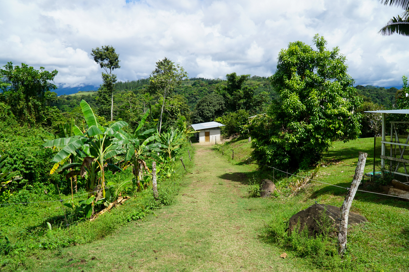 2 bed Single Family Homes For Sale in Perez Zeledon, San Jose - thumb 12