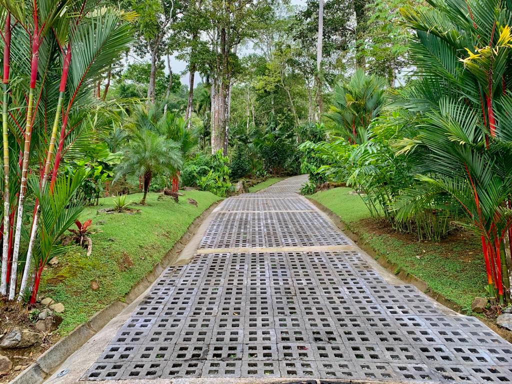 3 bed Single Family Homes For Sale in Dominical, Puntarenas - thumb 4