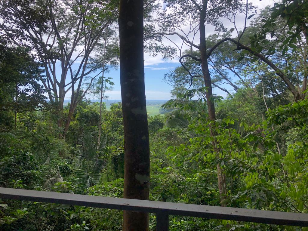 3 bed Single Family Homes For Sale in Jaco, Puntarenas - thumb 26