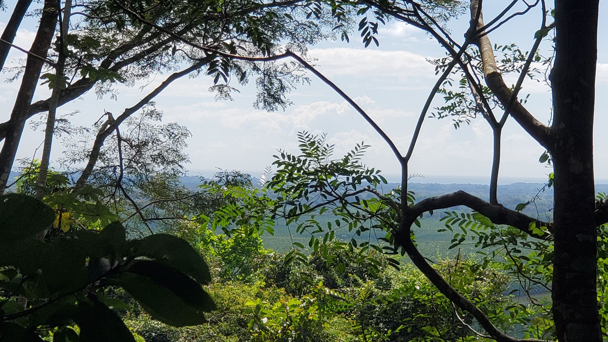 3 bed Single Family Homes For Sale in Jaco, Puntarenas - thumb 28