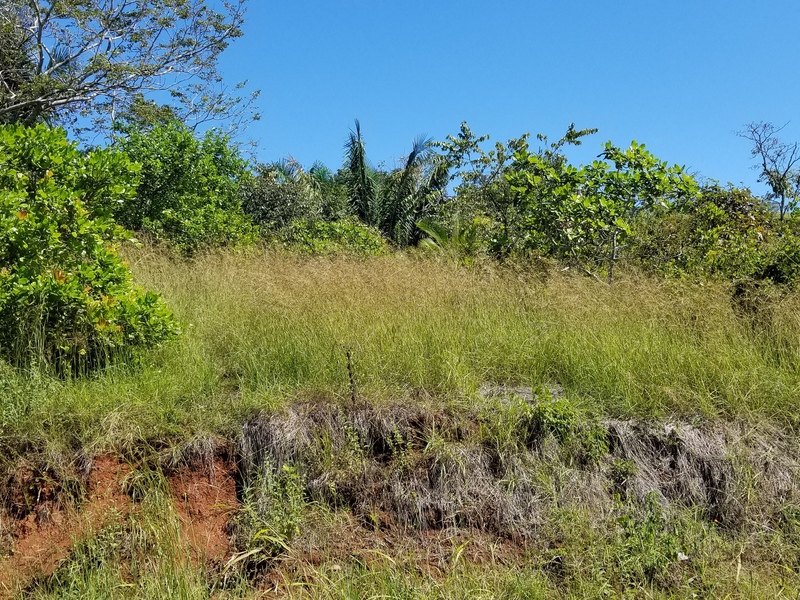 0 bed Land For Sale in Samara, Guanacaste - 1