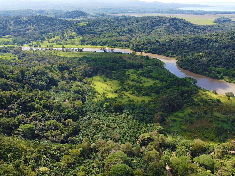 0 bed Land For Sale in Golfito, Puntarenas - 1