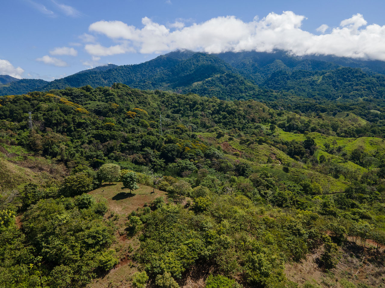 6 bed Land For Sale in Quepos, Puntarenas - thumb 16