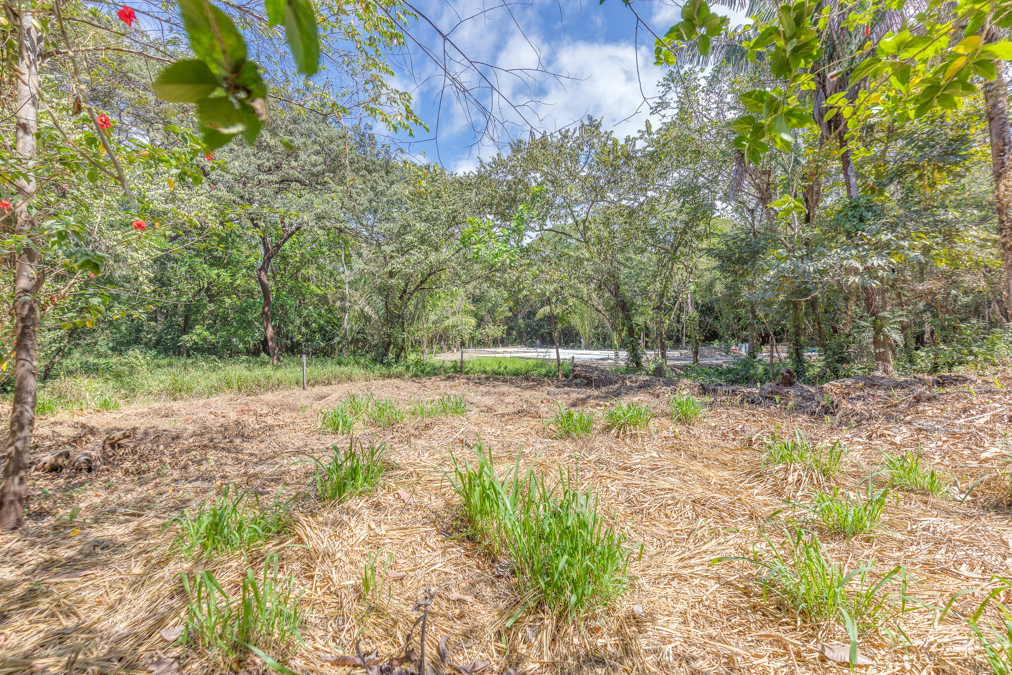 0 bed Land For Sale in Nosara, Guanacaste - thumb 4