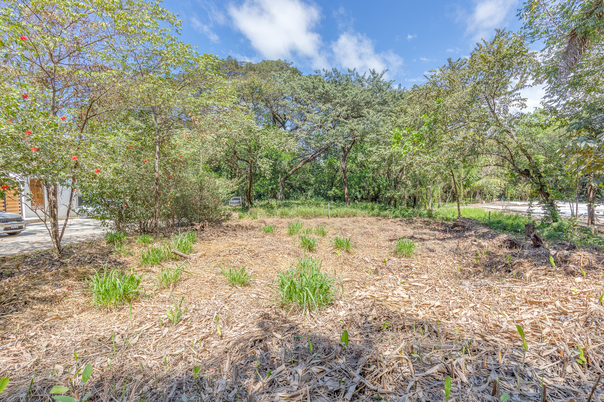 0 bed Land For Sale in Nosara, Guanacaste - thumb 5