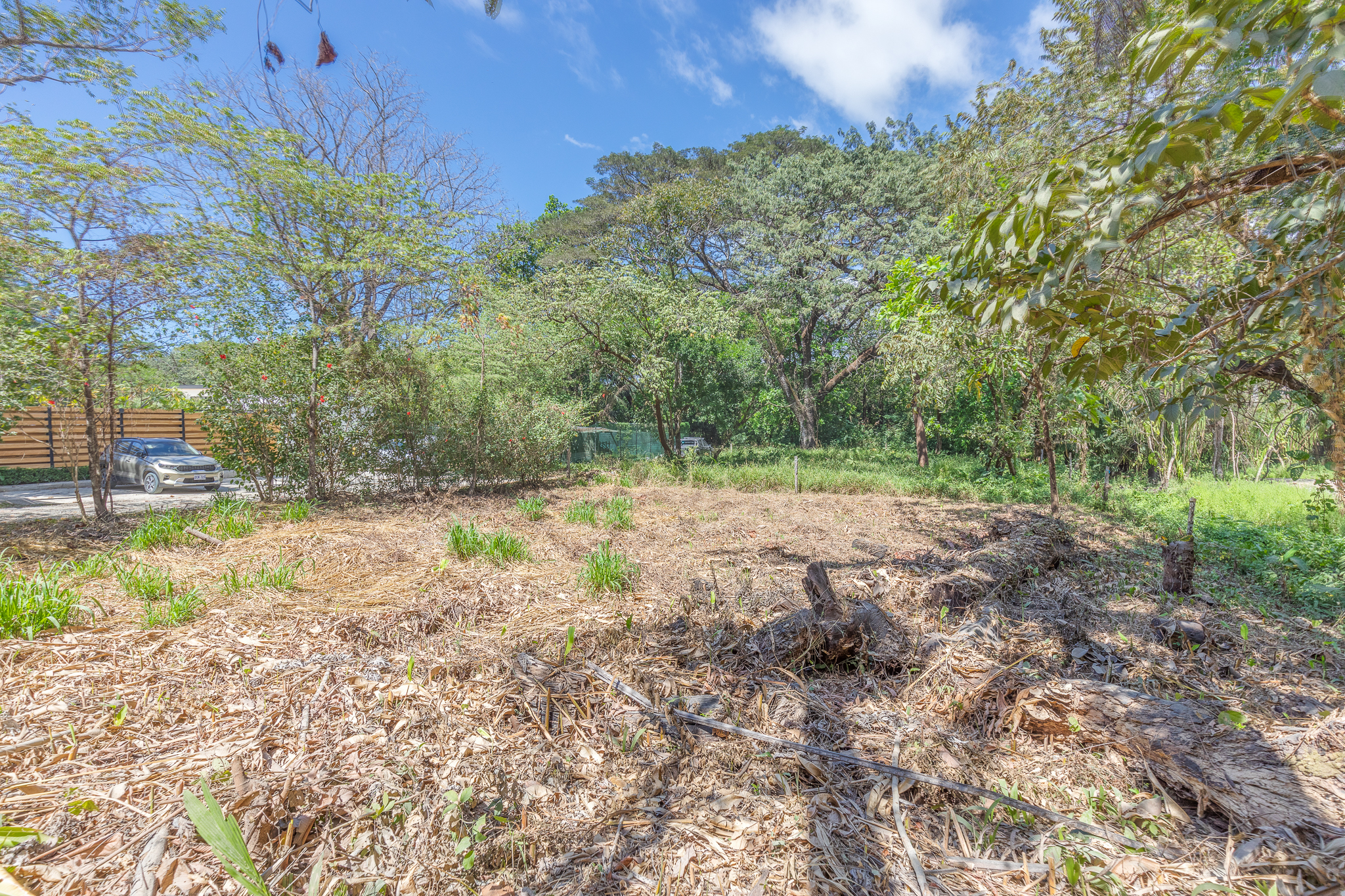 0 bed Land For Sale in Nosara, Guanacaste - thumb 6