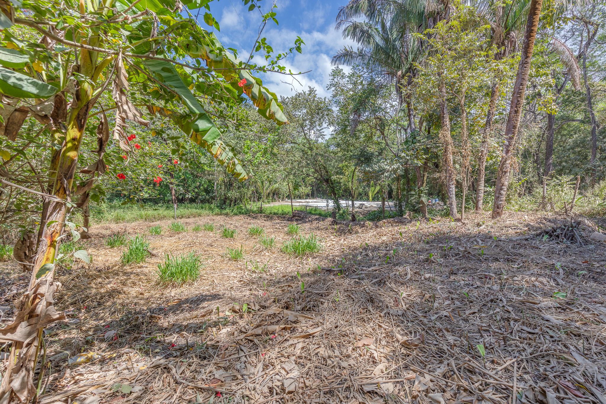 0 bed Land For Sale in Nosara, Guanacaste - thumb 7