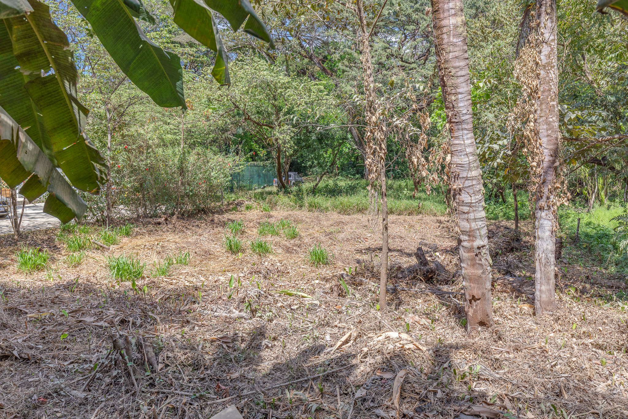 0 bed Land For Sale in Nosara, Guanacaste - thumb 8