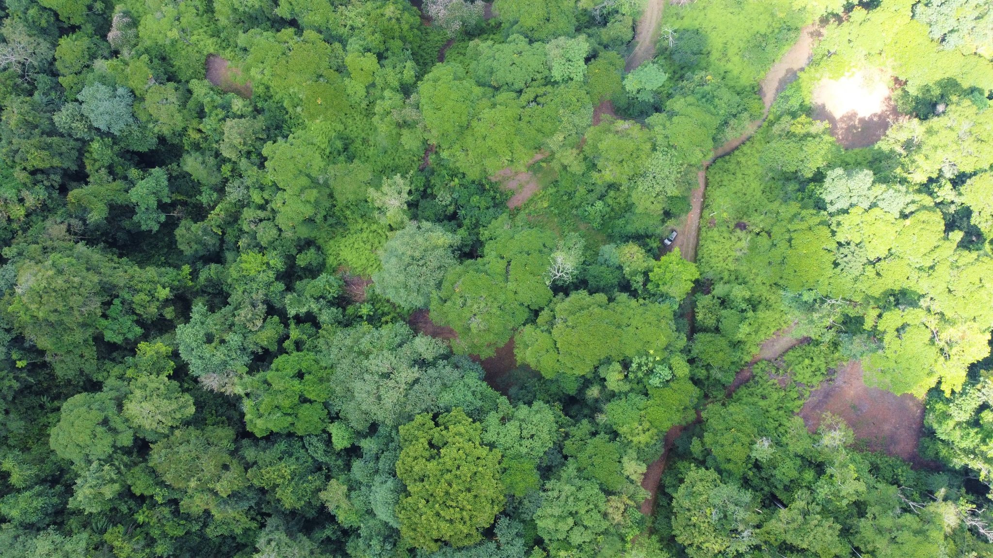 0 bed Land For Sale in Quepos, Puntarenas - thumb 17