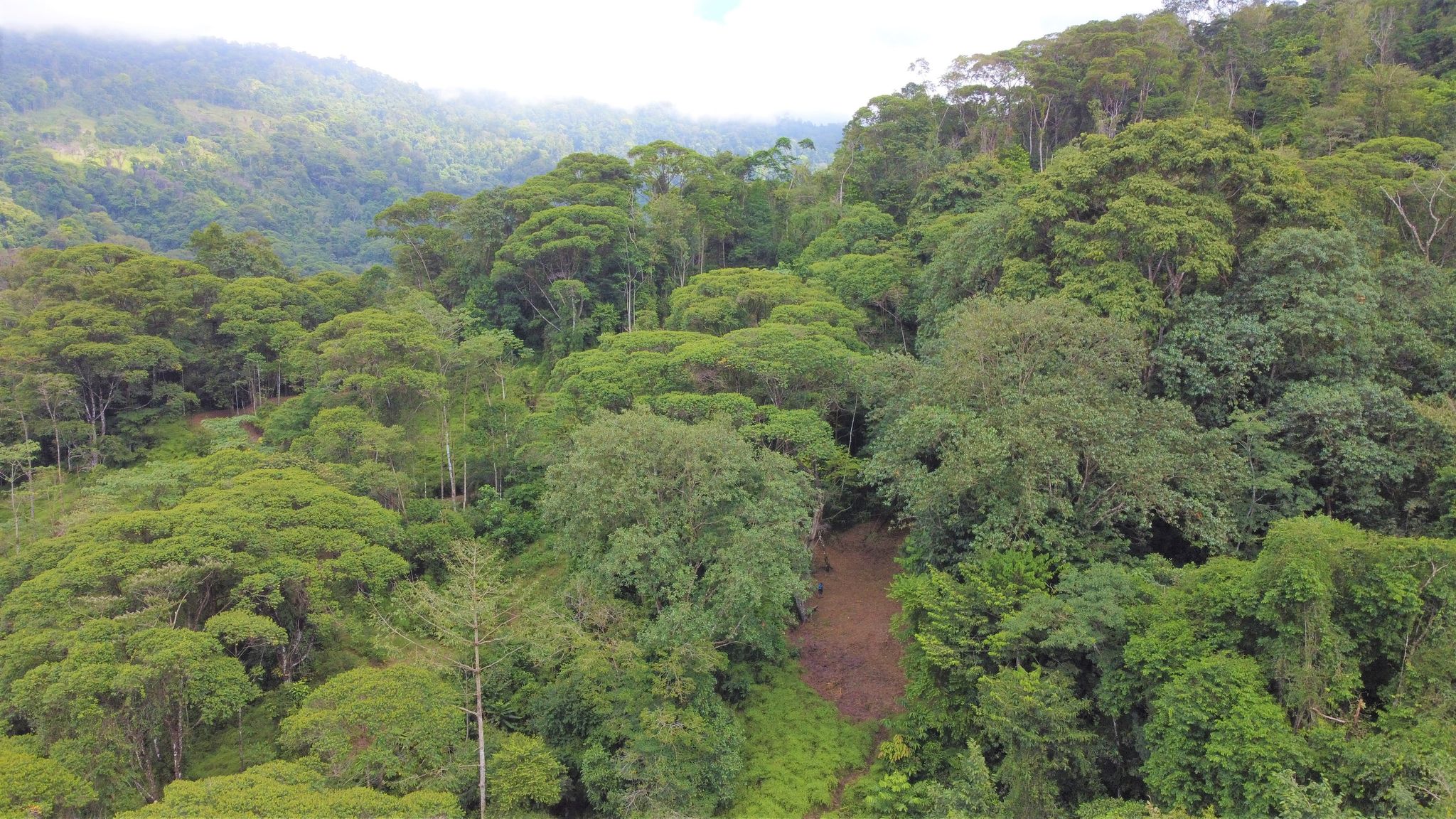 0 bed Land For Sale in Quepos, Puntarenas - thumb 16