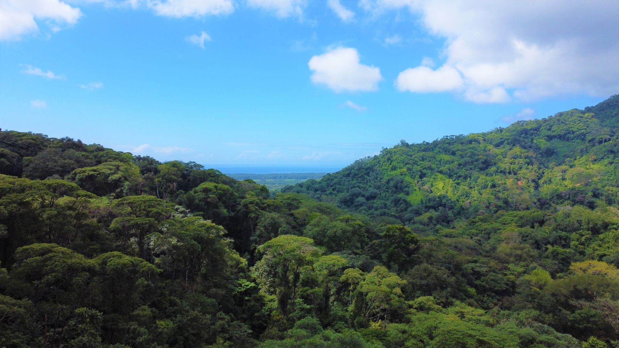 0 bed Land For Sale in Quepos, Puntarenas - thumb 18