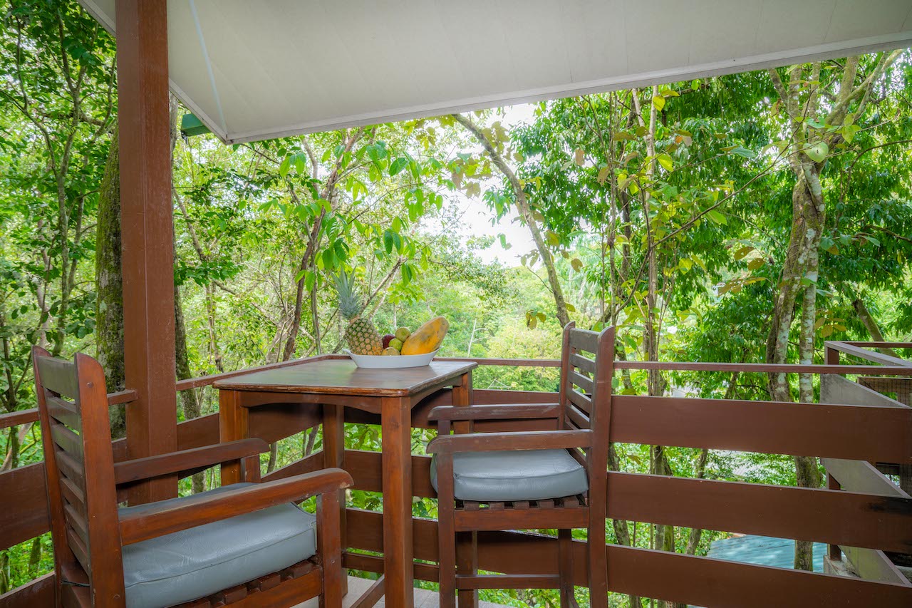 14 bed Hotel / Leisure For Sale in Manuel Antonio, Puntarenas - thumb 26