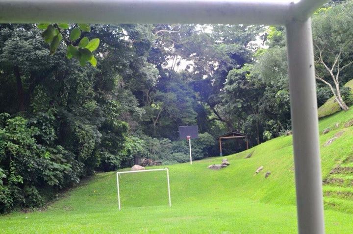 0 bed Land For Sale in Grecia, Alajuela - thumb 3