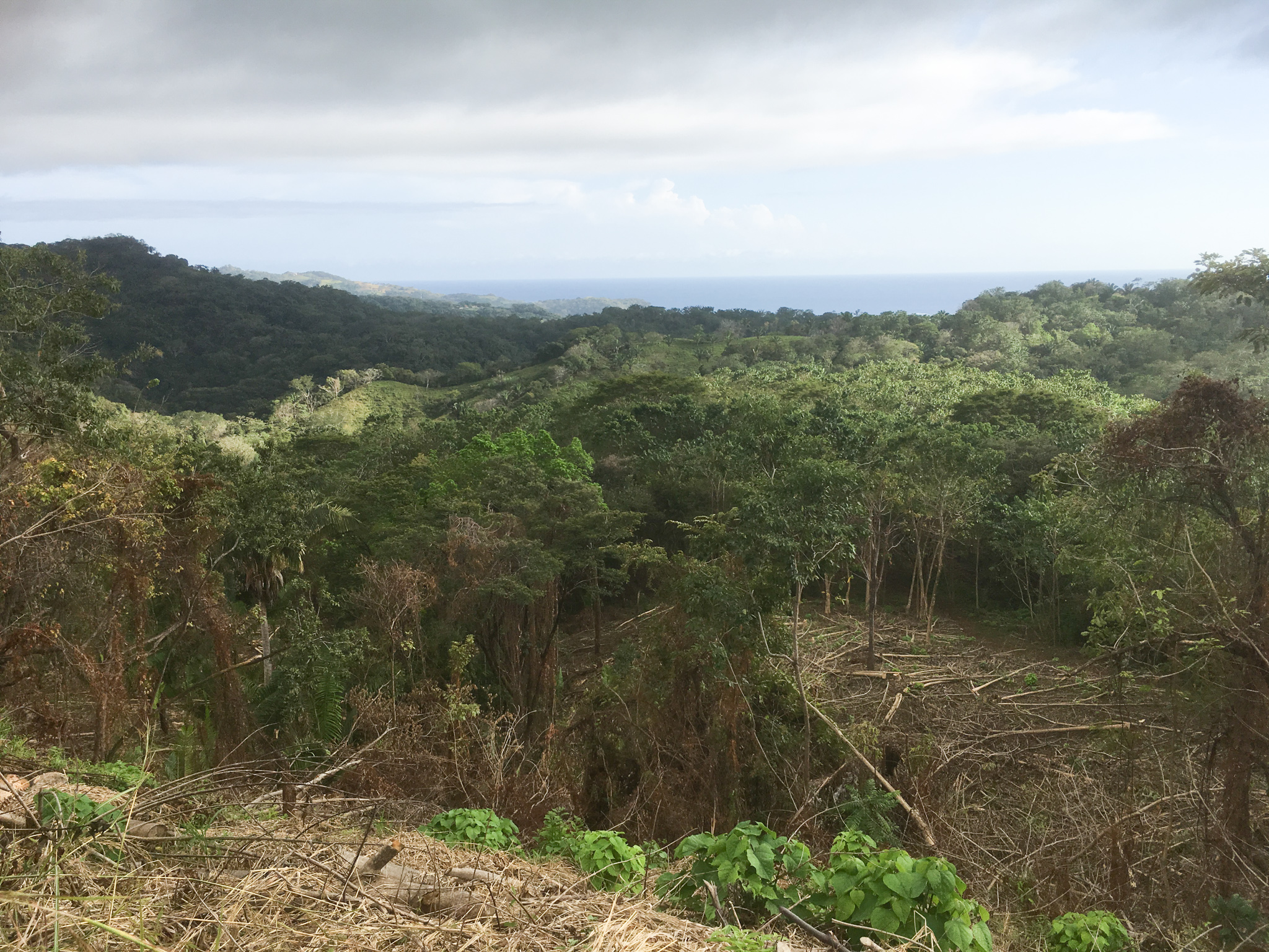 0 bed Land For Sale in Samara, Guanacaste - thumb 1