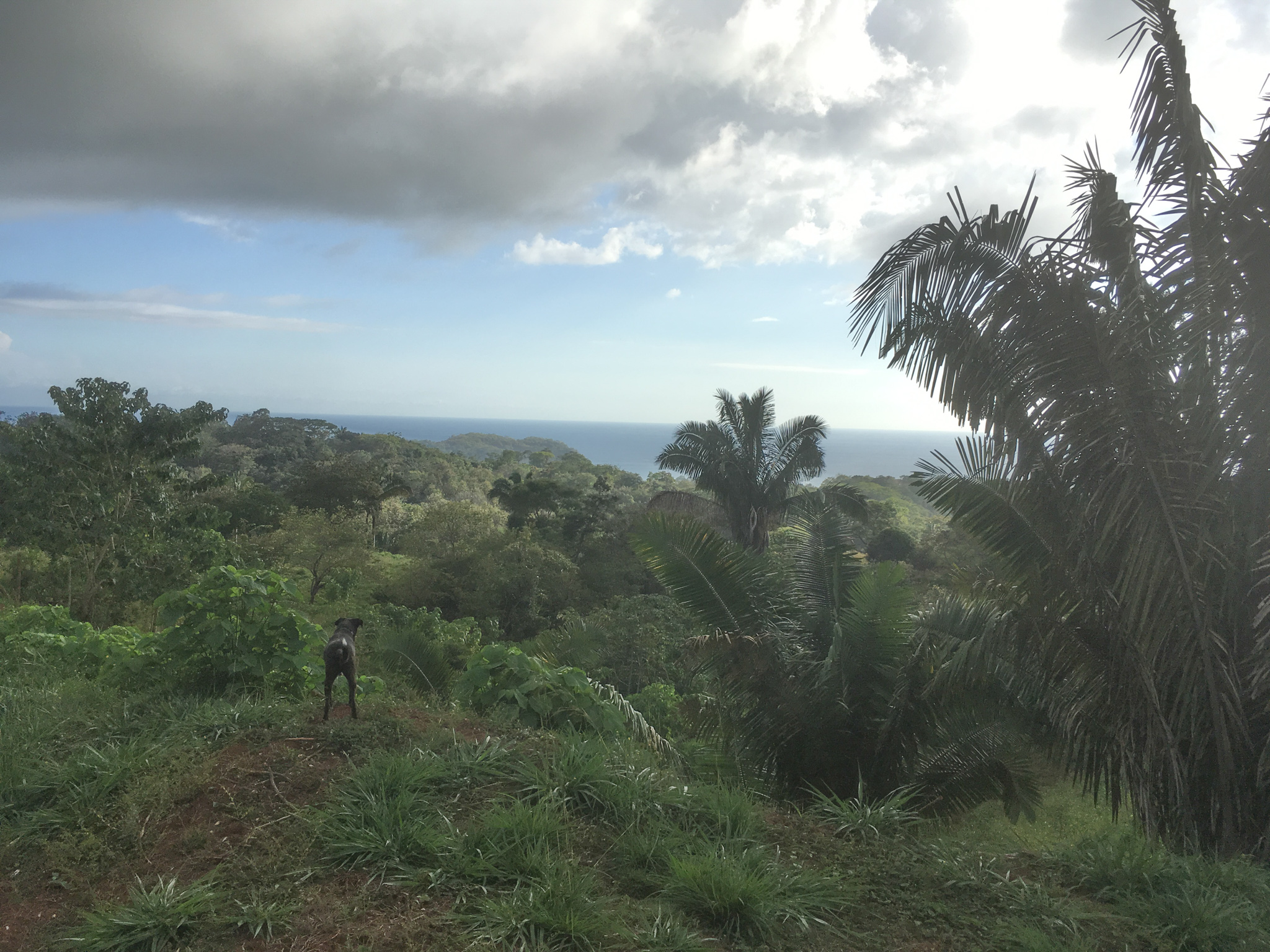 0 bed Land For Sale in Samara, Guanacaste - thumb 10