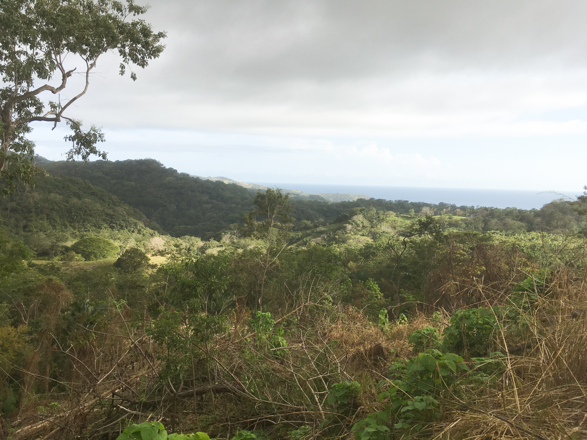 0 bed Land For Sale in Samara, Guanacaste - thumb 8
