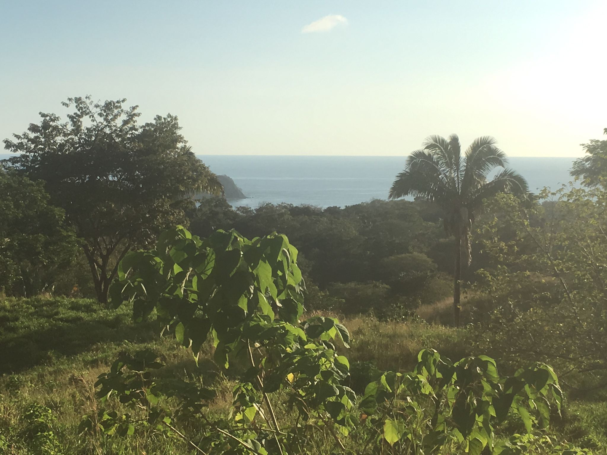 0 bed Land For Sale in Samara, Guanacaste - thumb 15