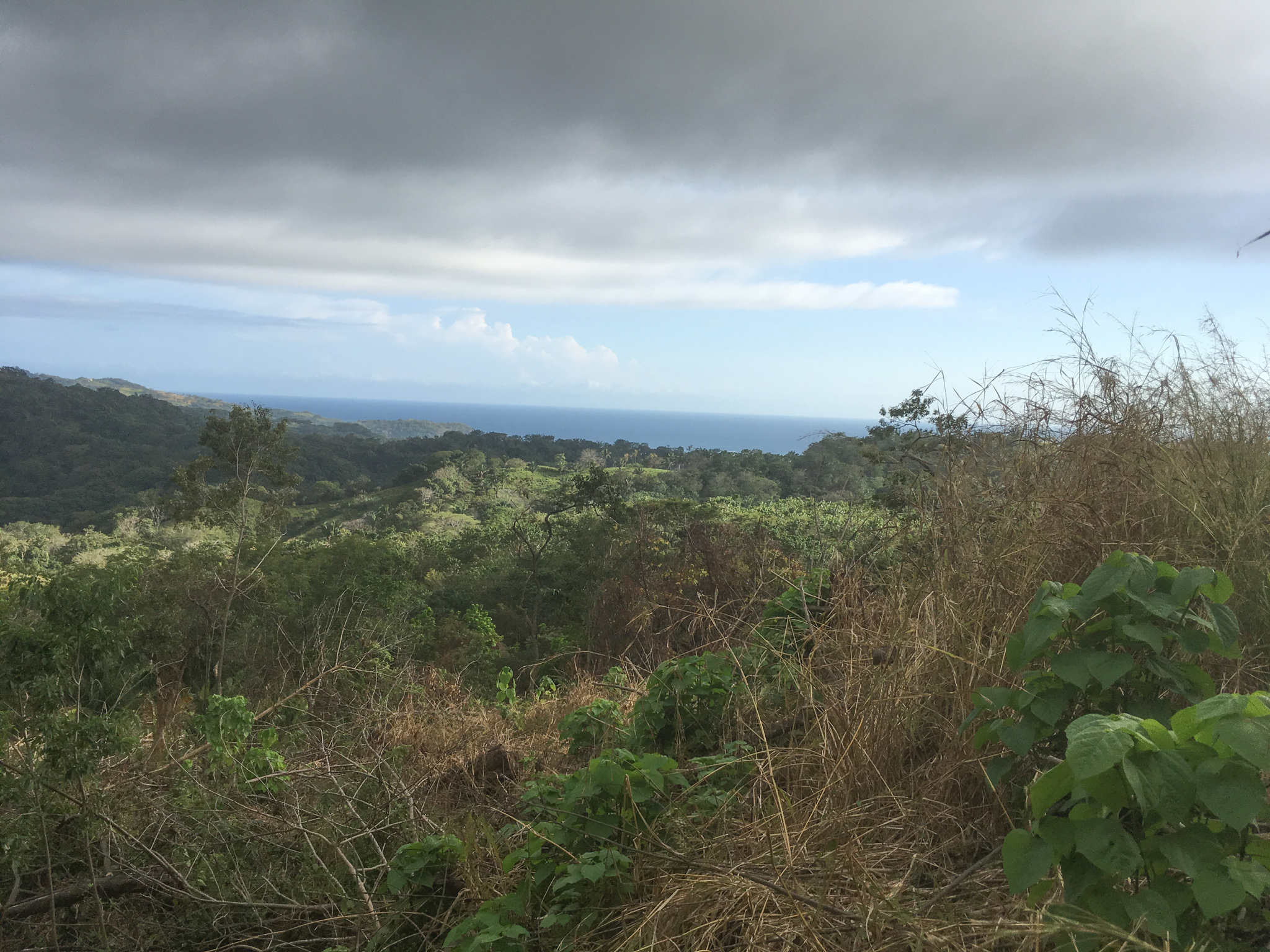 0 bed Land For Sale in Samara, Guanacaste - thumb 7