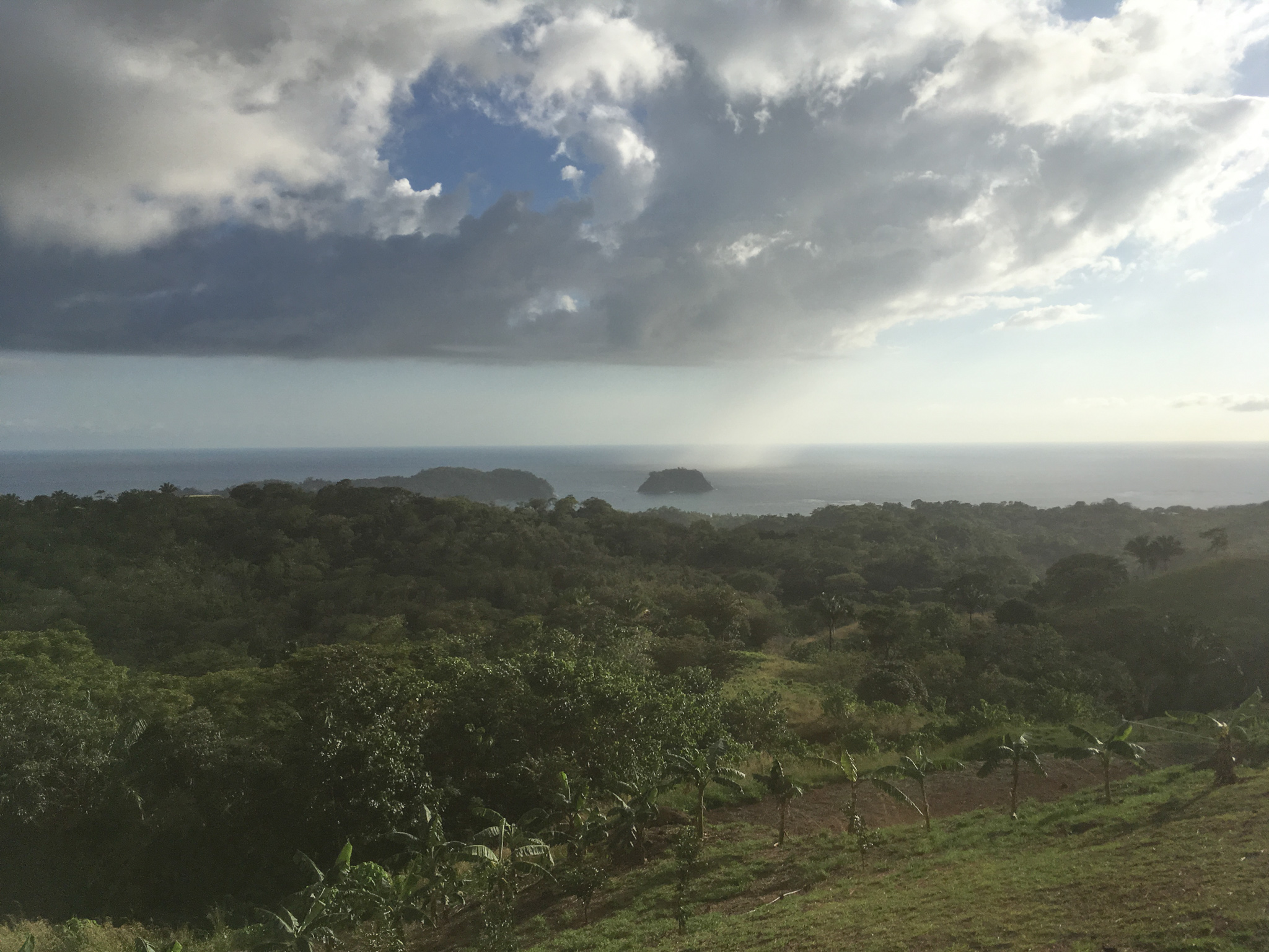 0 bed Land For Sale in Samara, Guanacaste - thumb 11
