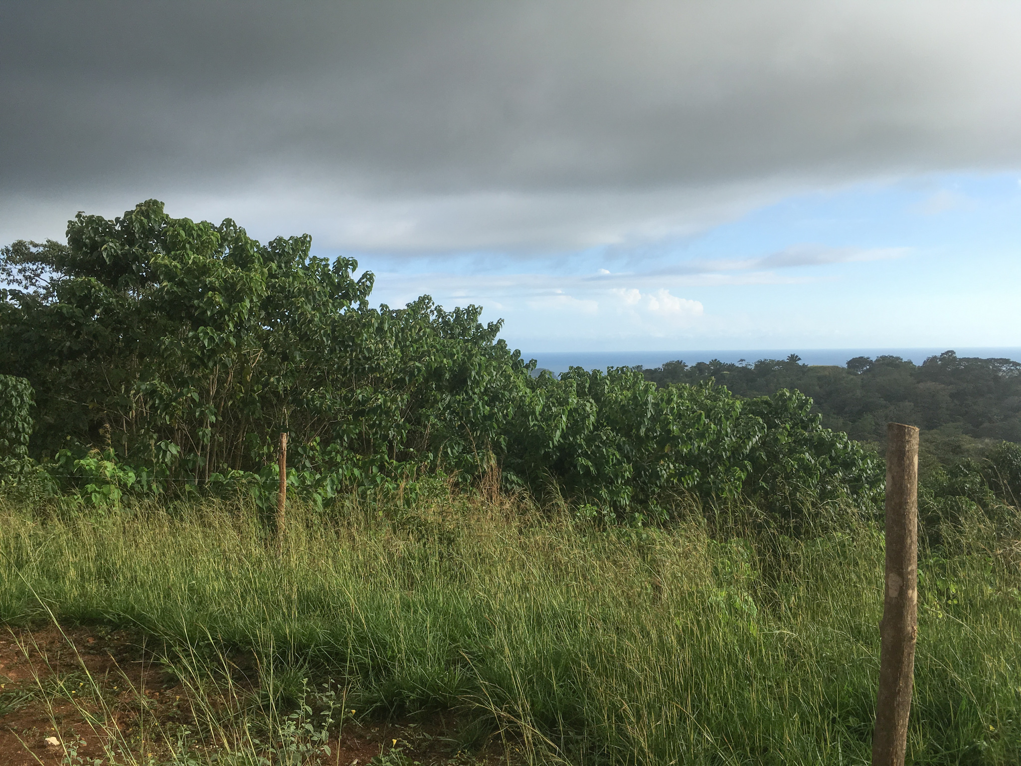 0 bed Land For Sale in Samara, Guanacaste - thumb 3