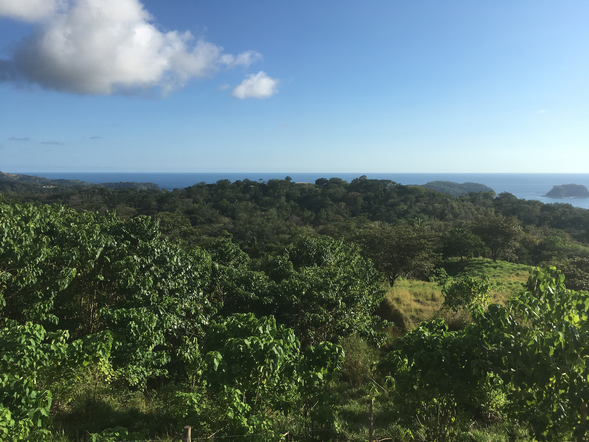 0 bed Land For Sale in Samara, Guanacaste - thumb 12