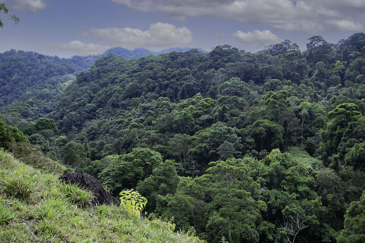 0 bed Land For Sale in Dominical, Puntarenas - thumb 7