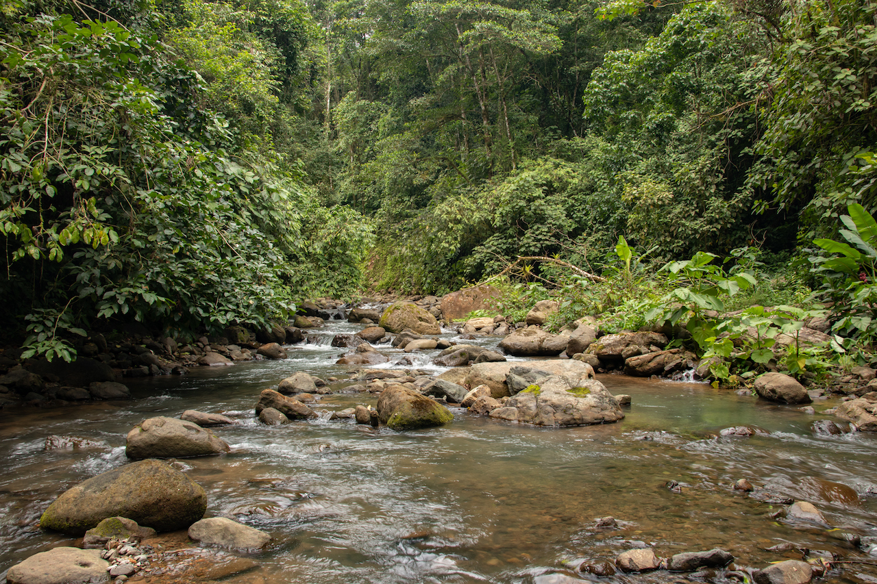 0 bed Land For Sale in Dominical, Puntarenas - thumb 1