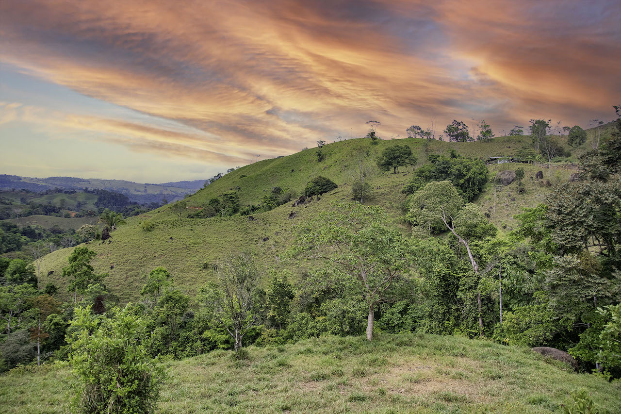 0 bed Land For Sale in Dominical, Puntarenas - thumb 6