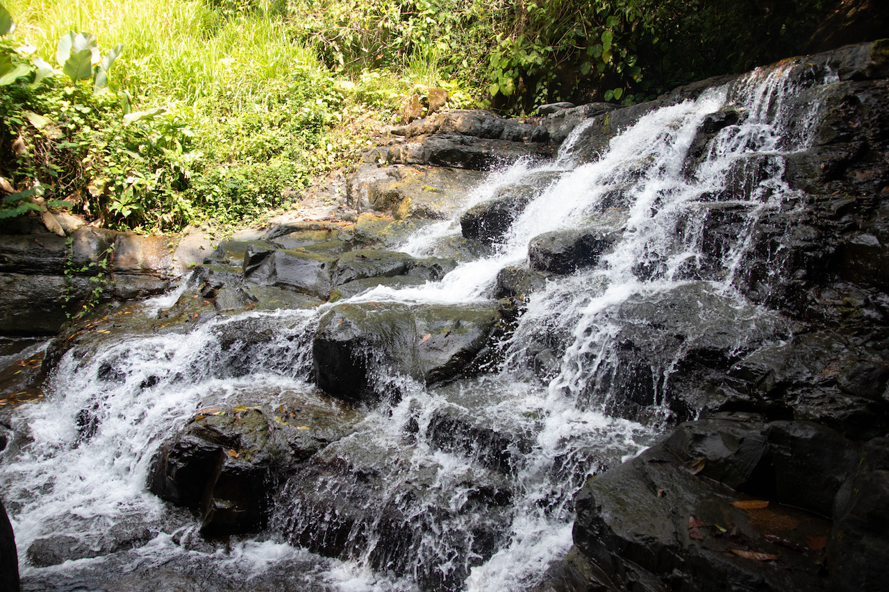 0 bed Land For Sale in Dominical, Puntarenas - thumb 12