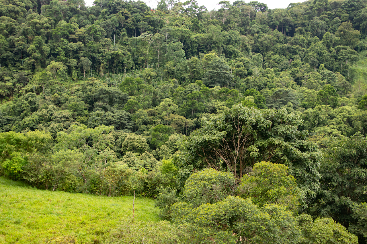 0 bed Land For Sale in Dominical, Puntarenas - thumb 3