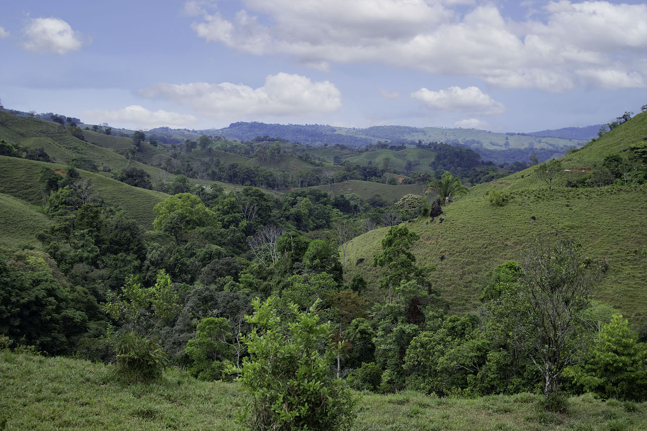 0 bed Land For Sale in Dominical, Puntarenas - thumb 5