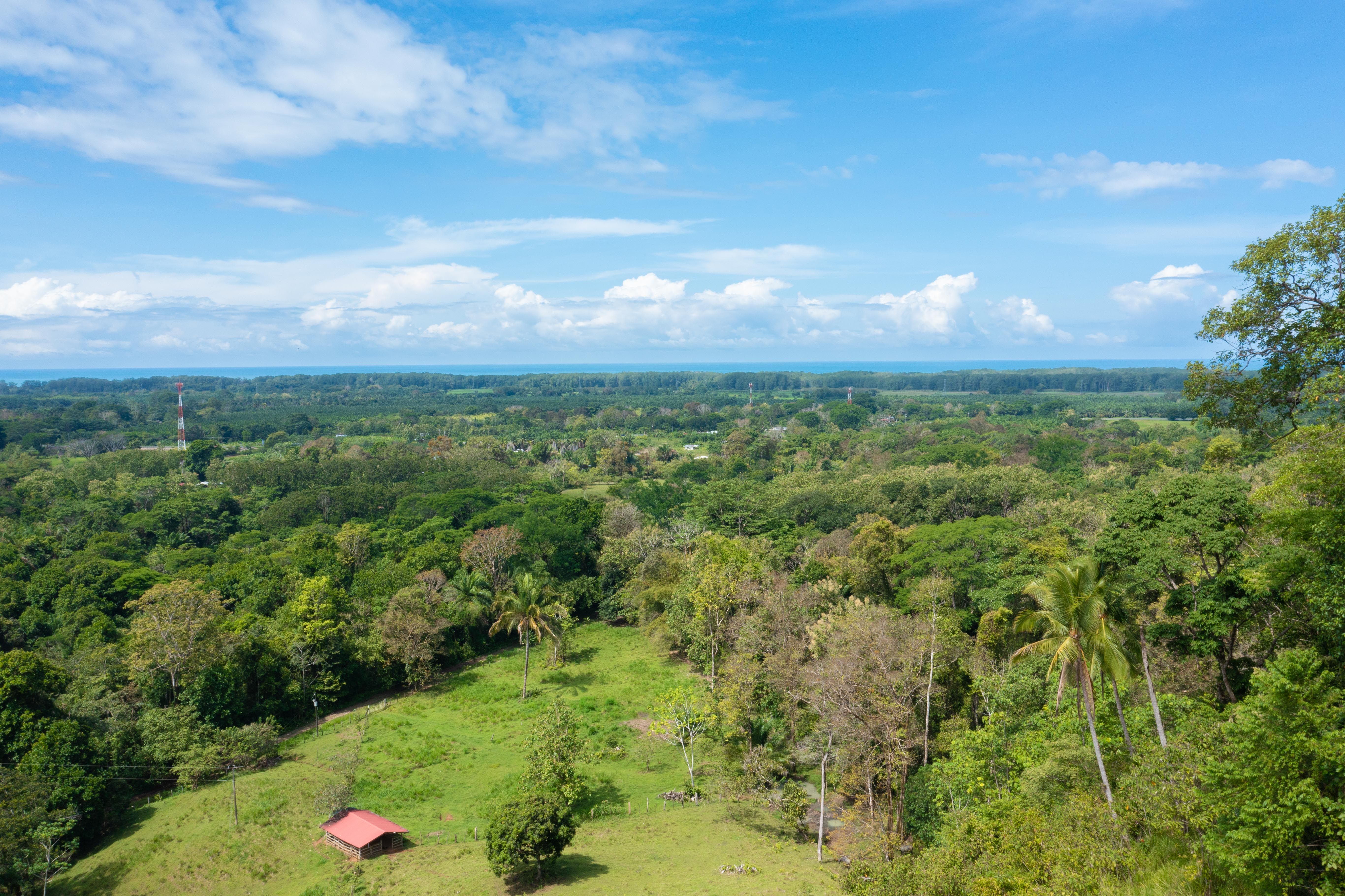 9 bed Single Family Homes For Sale in Manuel Antonio, Puntarenas - thumb 3