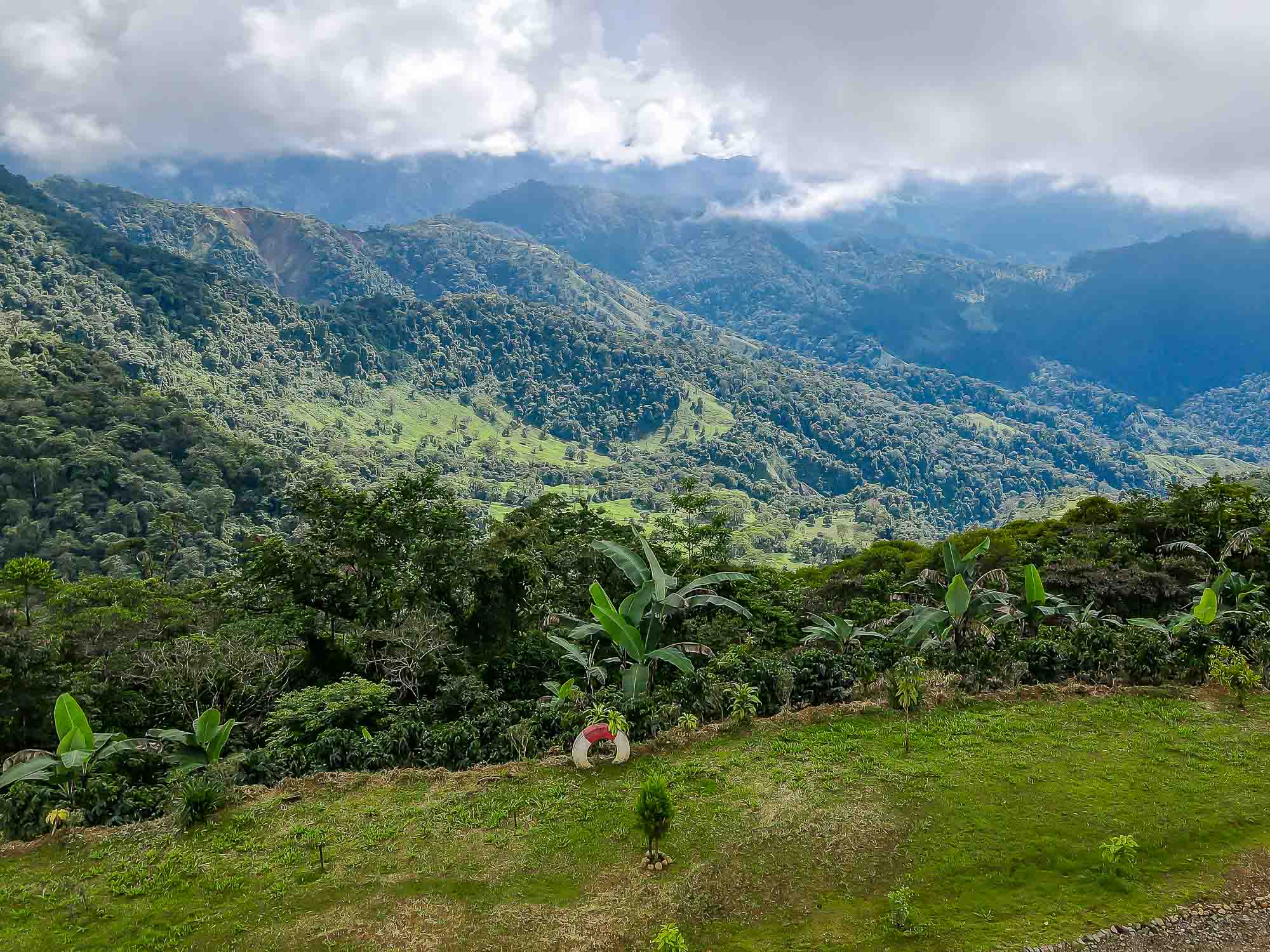 4 bed Single Family Homes For Sale in Manuel Antonio, Puntarenas - thumb 5