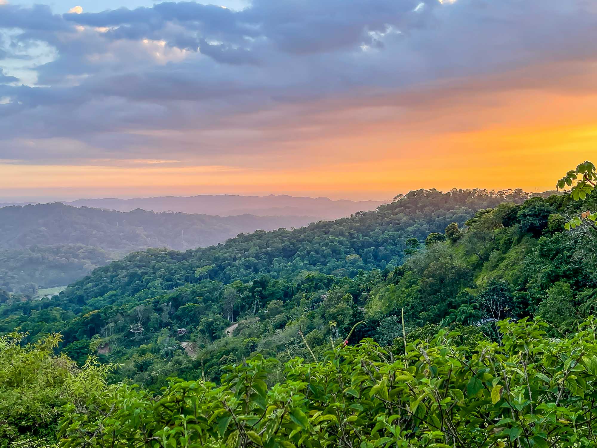 4 bed Single Family Homes For Sale in Manuel Antonio, Puntarenas - thumb 1