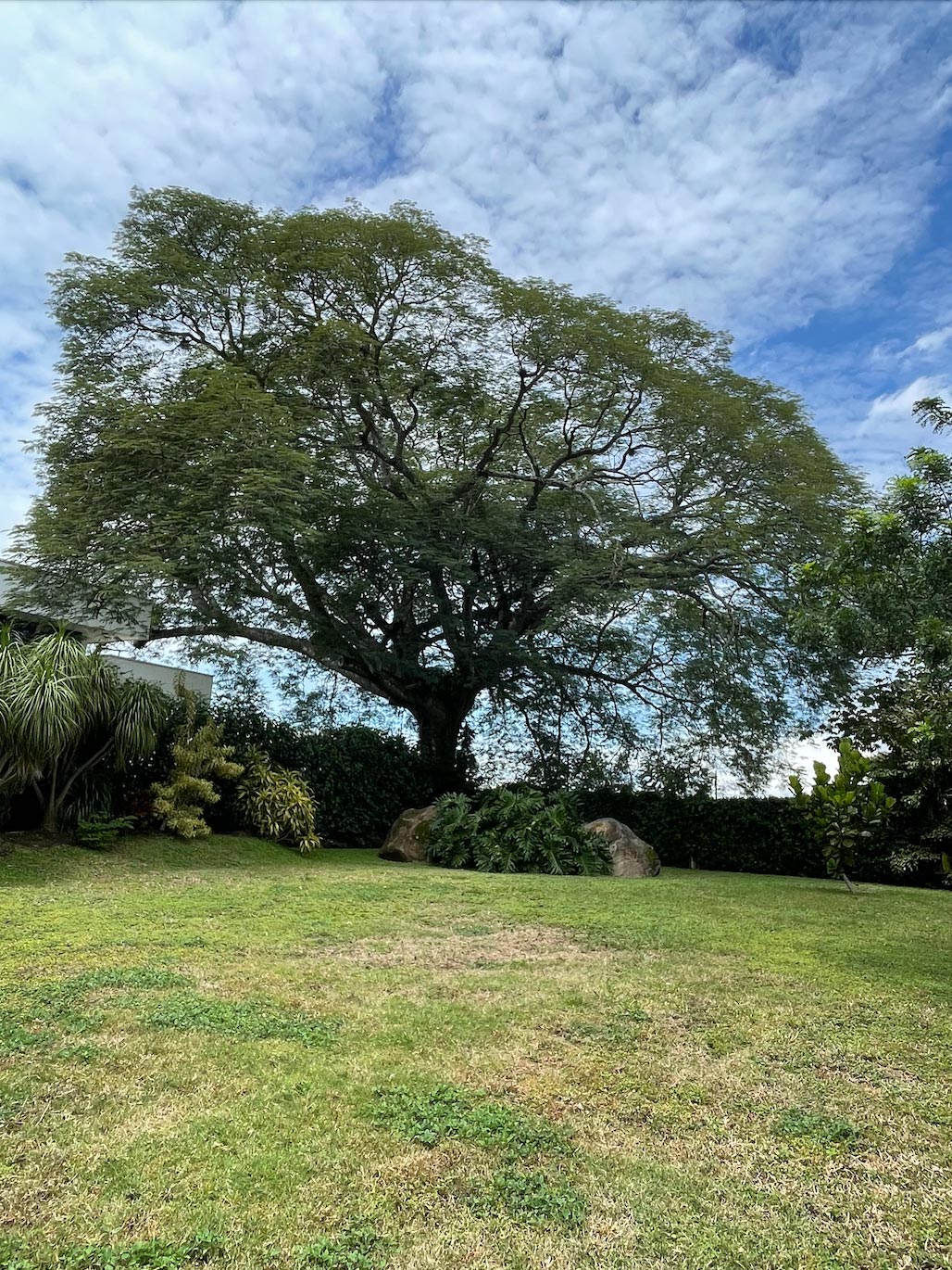 0 bed Land For Sale in La Garita, Alajuela - thumb 1