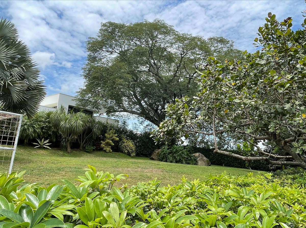 0 bed Land For Sale in La Garita, Alajuela - thumb 2