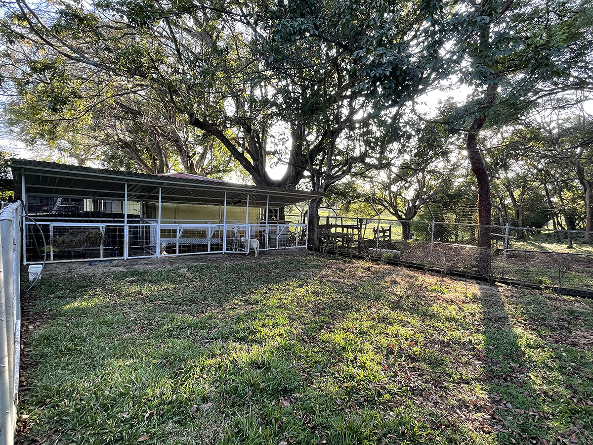 42 bed Single Family Homes For Sale in La Garita, Alajuela - thumb 23